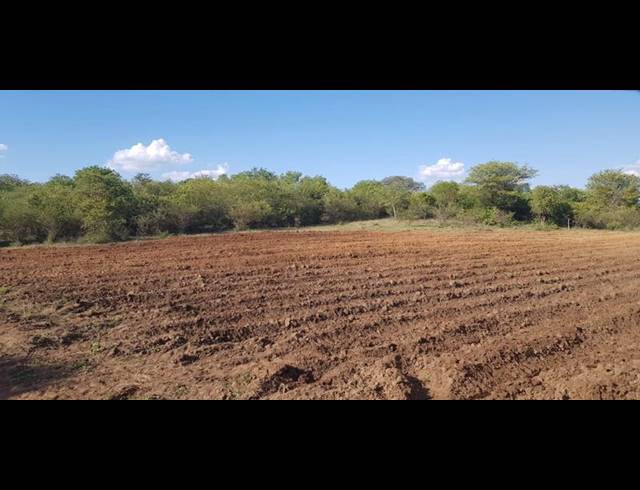 FARM FOR SALE IN MANGONDI